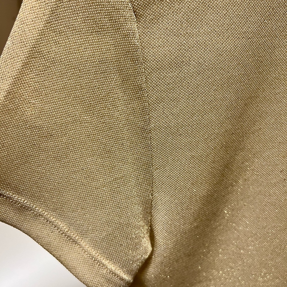 Anthropologie Second Skin gold mesh bodysuit - Picture 8 of 8